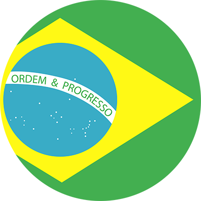 Brazilian Flag