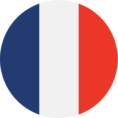 French Flag Icon